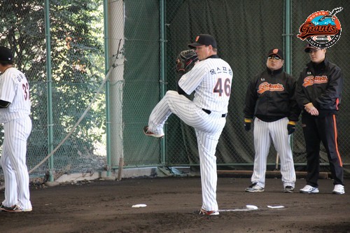 피칭하는 옥스프링